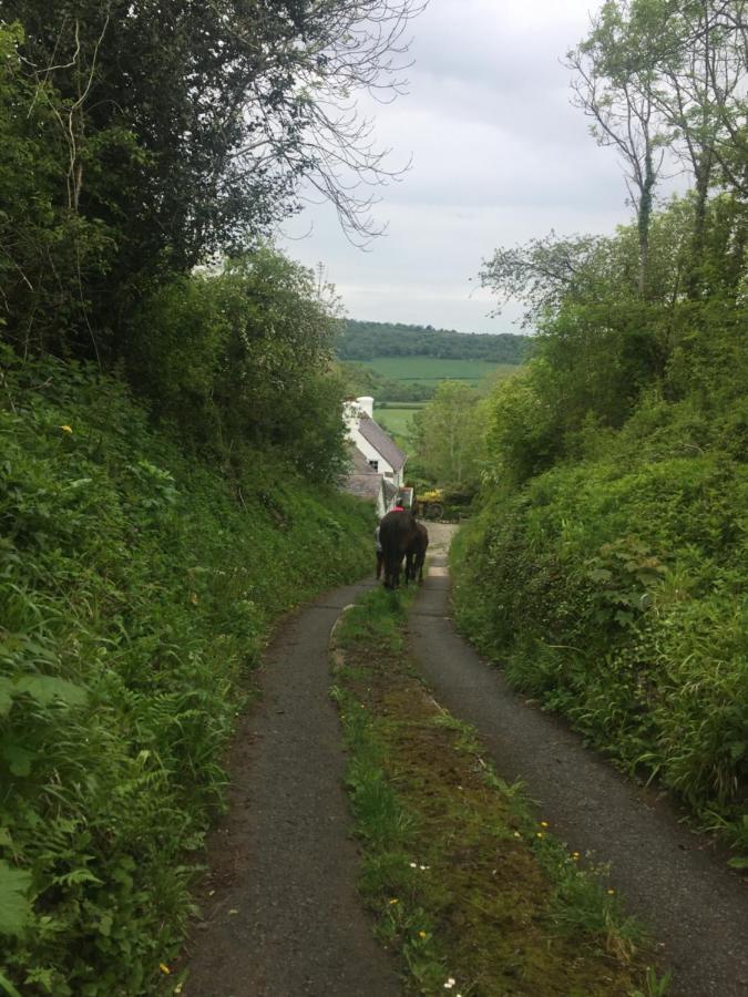 Welsh Country Cottage In Beautiful Village Llandudno Junction Ngoại thất bức ảnh